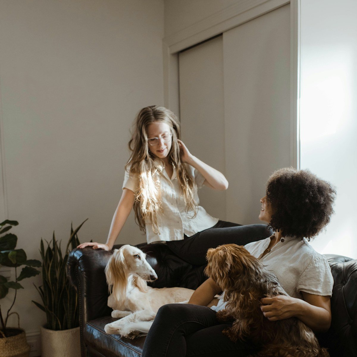 Une mère et son enfant jouent avec leur chien sur le canapé