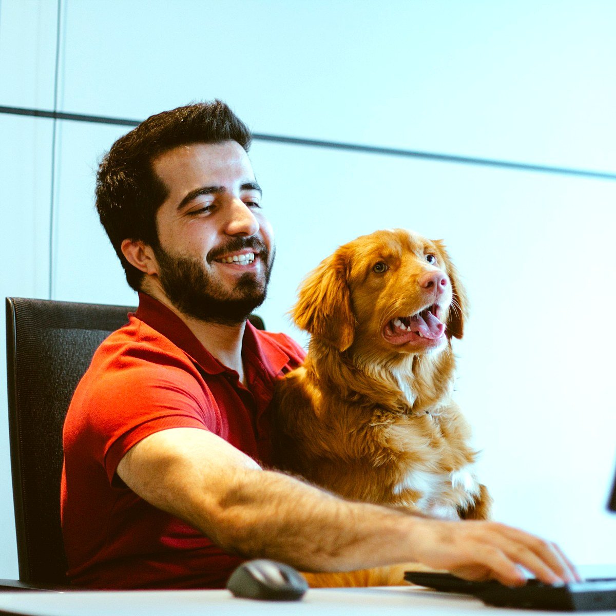 Propriétaire souriant qui vérifie son contrat d’assurance chien sur ordinateur avec son chien